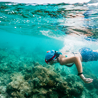 Snorkeling